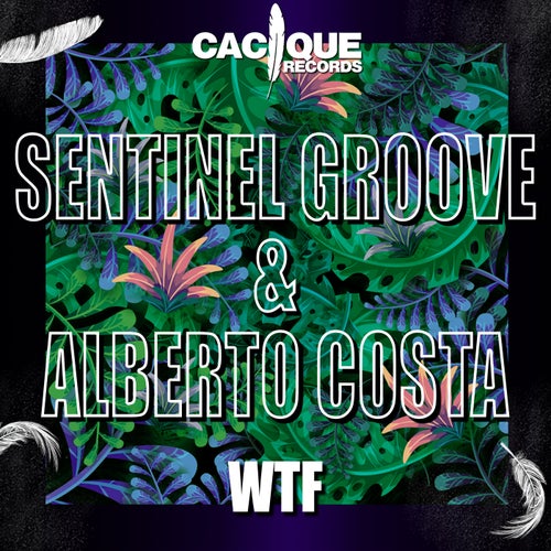 Alberto Costa, Sentinel Groove - Wtf [CACI095]